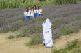 /album/cogli-lattimo/adry4-suora-lavanda-copia-jpg/